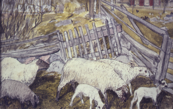 Fårskötsel i liten skala på Visnums-Kils prästgård 1920-talet